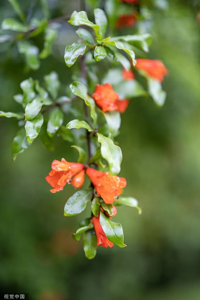 首页| 28圈游戏有限公司官方网站